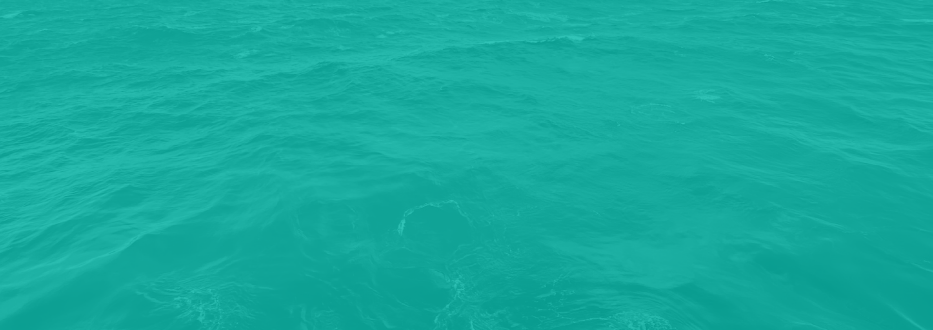 ocean-apr27-2020-Cidy-Chai-North-Pacific-sq 4-2